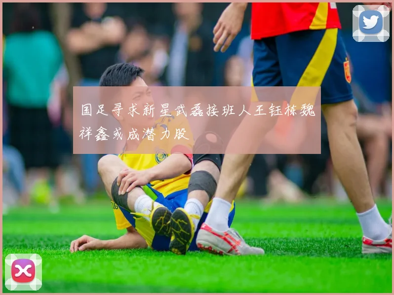 国足寻求新星武磊接班人王钰栋魏祥鑫或成潜力股