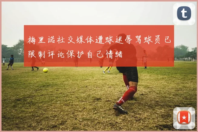 梅里诺社交媒体遭球迷辱骂球员已限制评论保护自己情绪