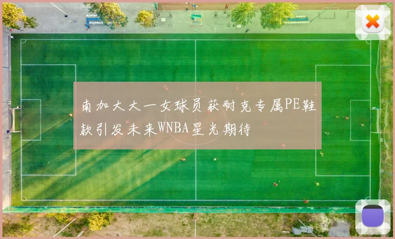 南加大大一女球员获耐克专属PE鞋款引发未来WNBA星光期待