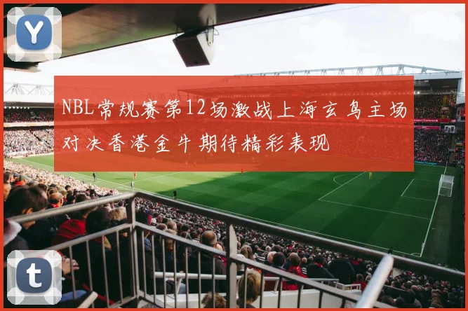 NBL常规赛第12场激战上海玄鸟主场对决香港金牛期待精彩表现
