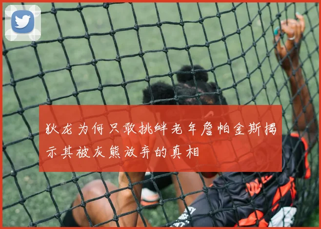 狄龙为何只敢挑衅老年詹帕金斯揭示其被灰熊放弃的真相
